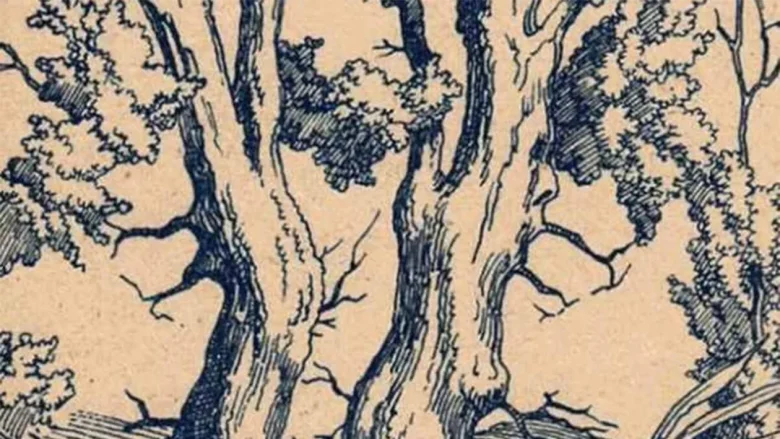 Iluzie optică cu chipuri umane ascunse în trunchiurile unor copaci, desen în tuș. Foto ilustrativ.